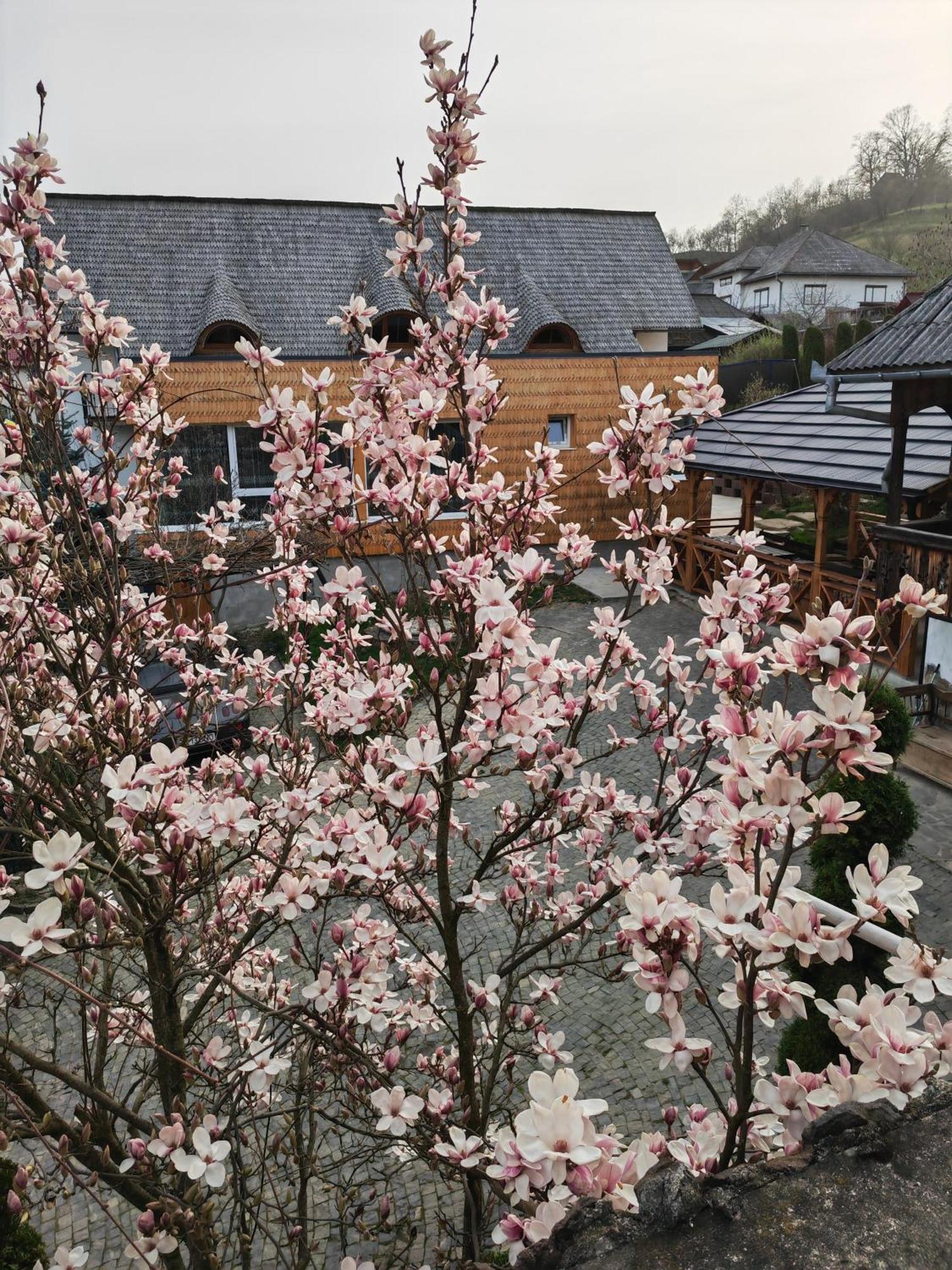 Casa Cu Magnolii Otel Poienile Izei Dış mekan fotoğraf