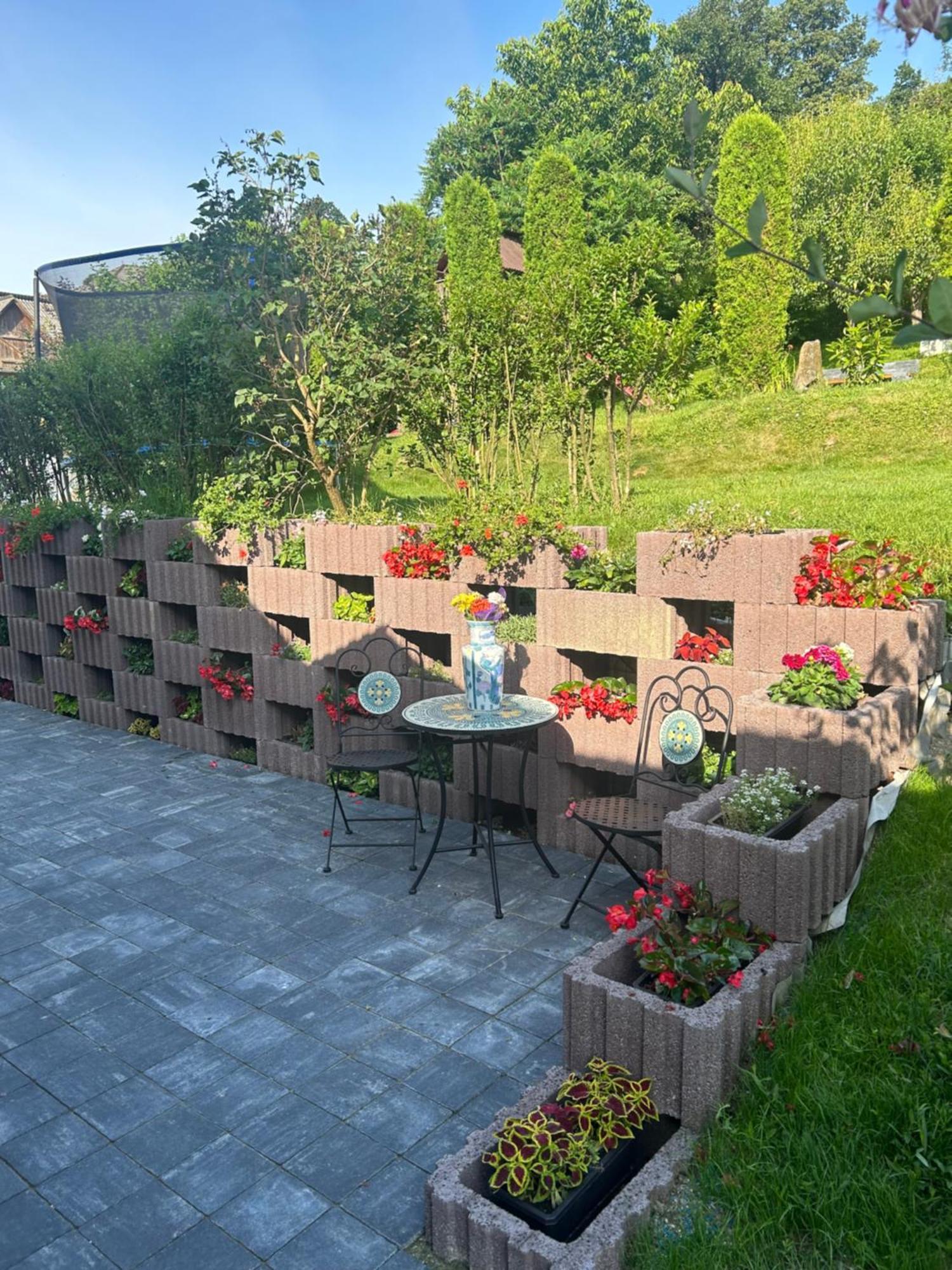 Casa Cu Magnolii Otel Poienile Izei Dış mekan fotoğraf