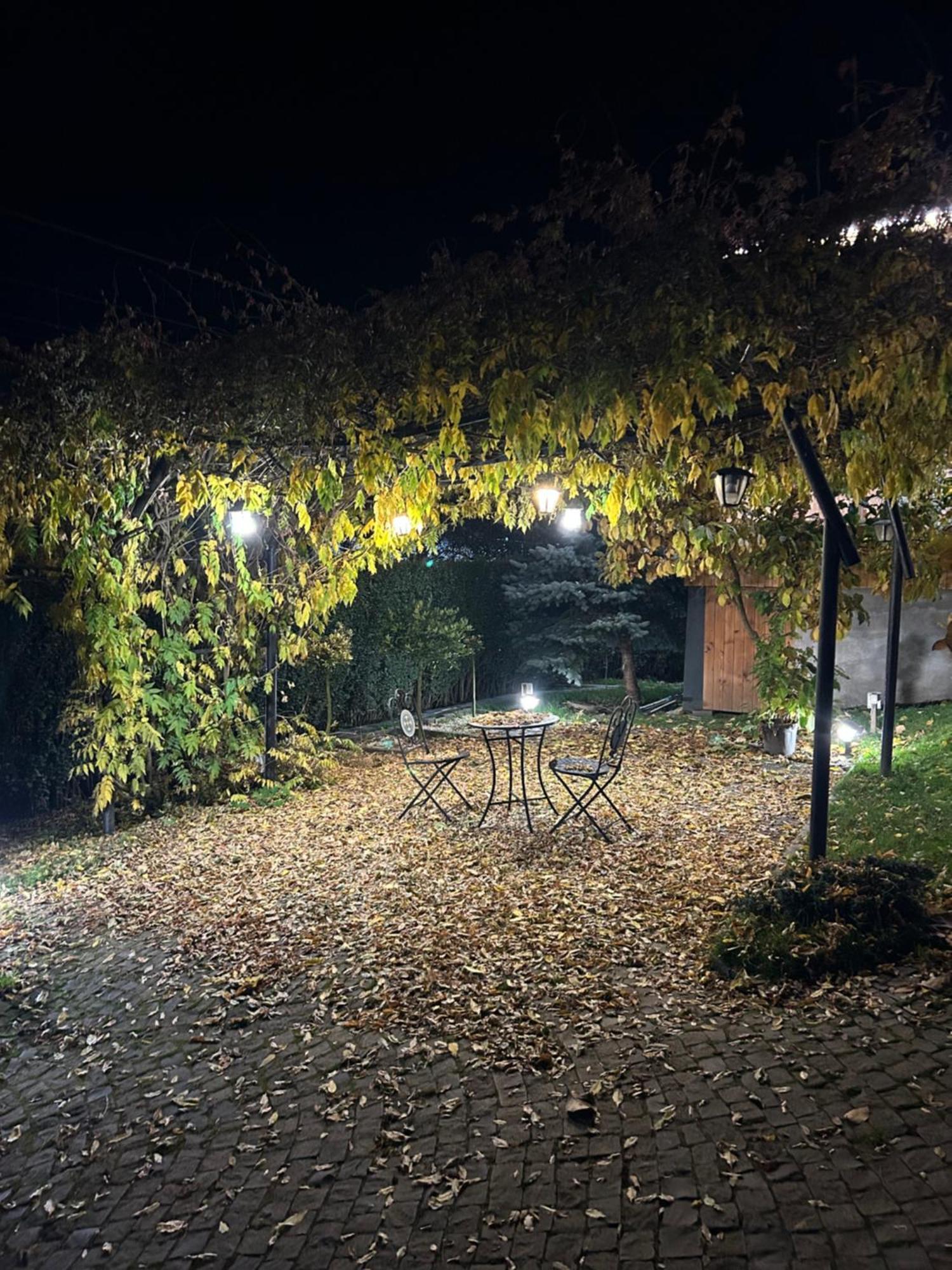 Casa Cu Magnolii Otel Poienile Izei Dış mekan fotoğraf