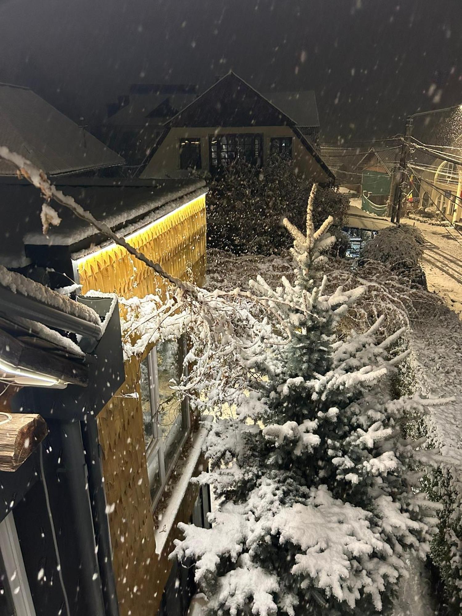Casa Cu Magnolii Otel Poienile Izei Dış mekan fotoğraf